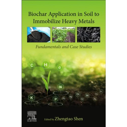 Elsevier - Health Sciences Division Biochar Application in Soil to Immobilize Heavy Metals (häftad, eng)