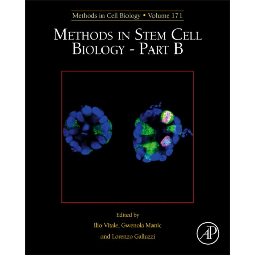 Elsevier Science & Technology Methods in Stem Cell Biology - Part B (inbunden, eng)