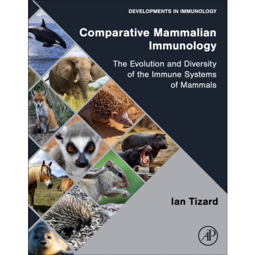 Elsevier Science & Technology Comparative Mammalian Immunology (häftad, eng)