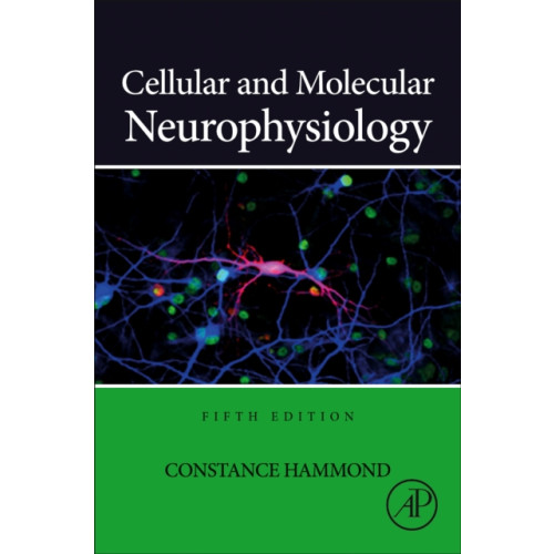 Elsevier Science & Technology Cellular and Molecular Neurophysiology (inbunden, eng)