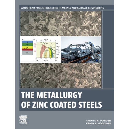 Elsevier - Health Sciences Division The Metallurgy of Zinc Coated Steels (häftad, eng)