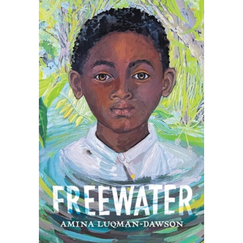 Little, Brown & Company Freewater (Newbery & Coretta Scott King Award Winner) (häftad, eng)