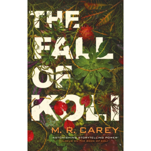 Little, Brown Book Group The Fall of Koli (häftad, eng)