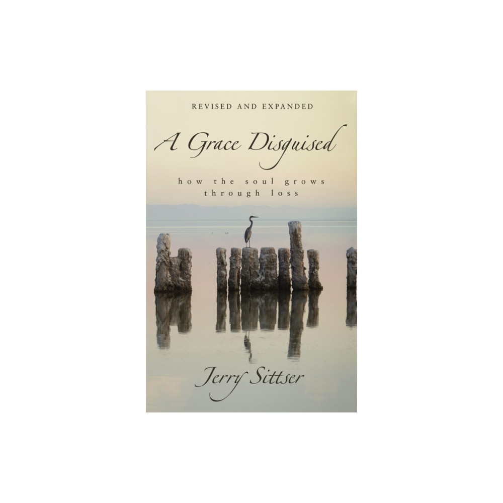 Produktbild för A Grace Disguised Revised and Expanded (inbunden, eng)
