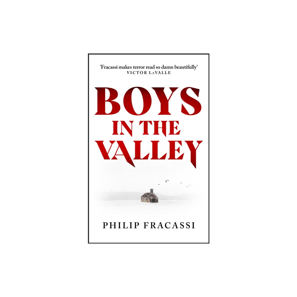 Produktbild för Boys in the Valley (häftad, eng)