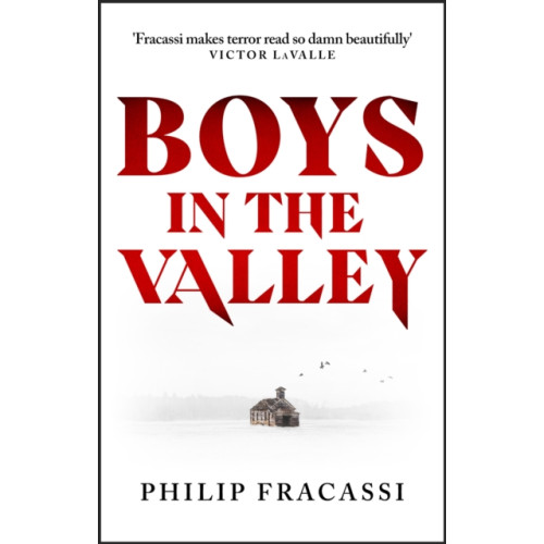 Little, Brown Book Group Boys in the Valley (häftad, eng)