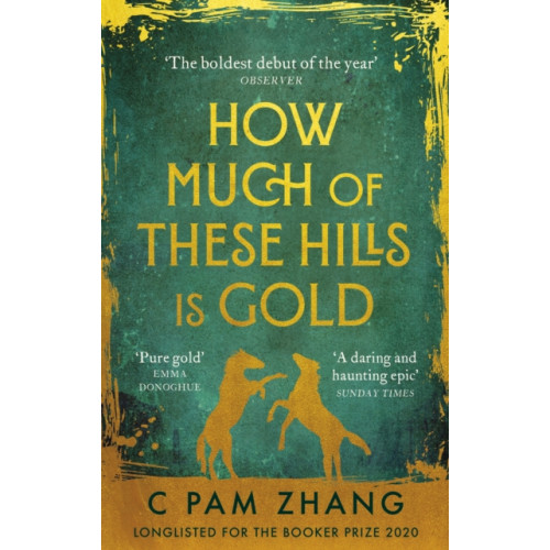 Little, Brown Book Group How Much of These Hills is Gold (häftad, eng)