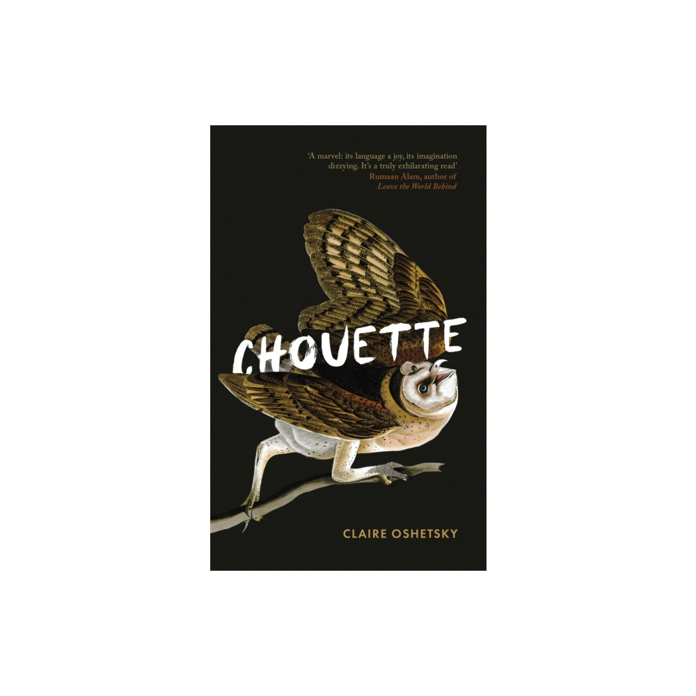 Produktbild för Chouette (inbunden, eng)
