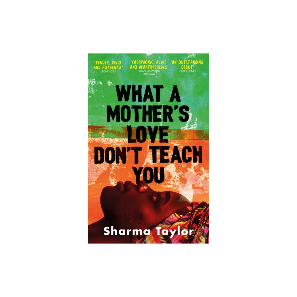 Produktbild för What A Mother's Love Don't Teach You (häftad, eng)