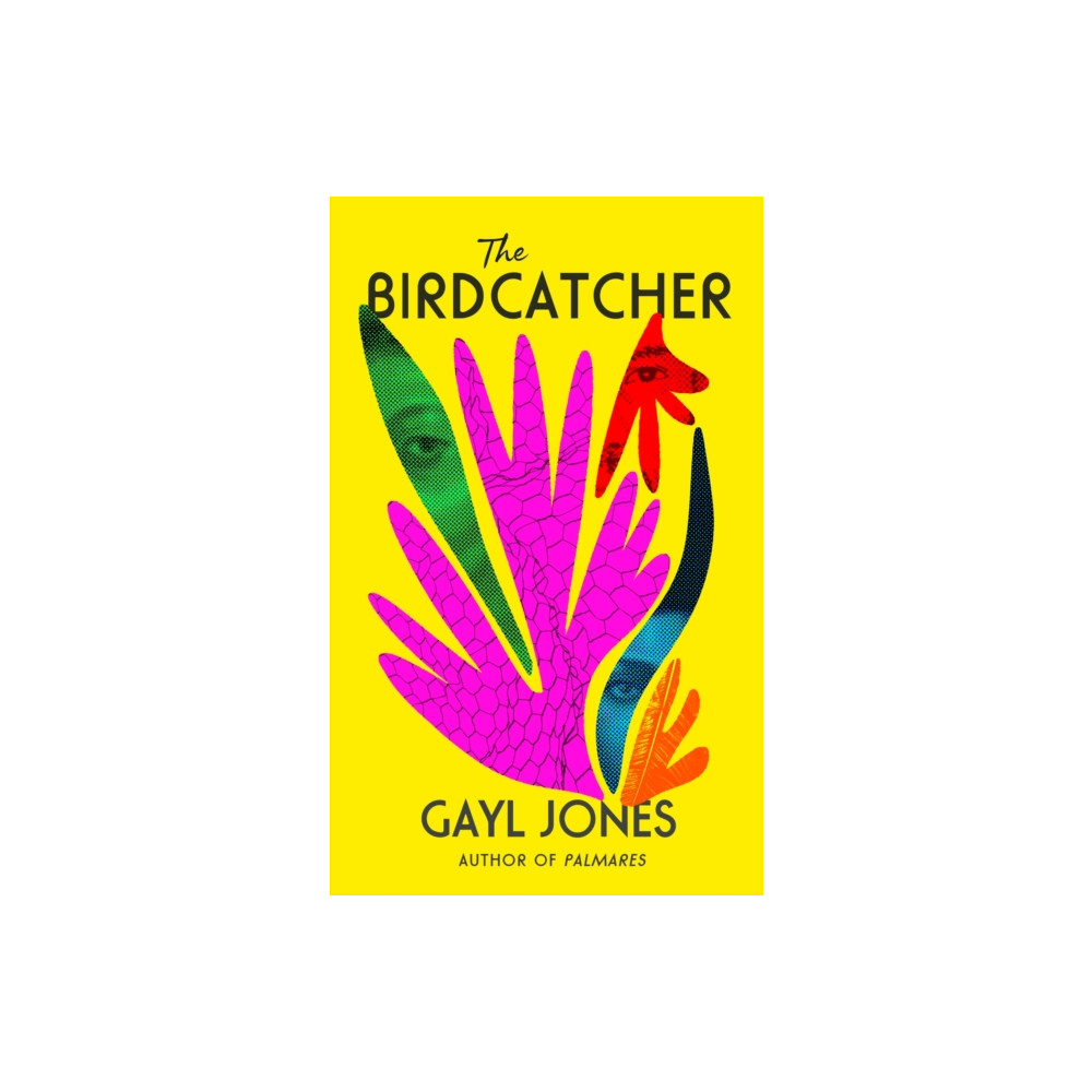 Produktbild för The Birdcatcher (inbunden, eng)