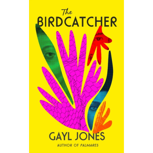 Little, Brown Book Group The Birdcatcher (inbunden, eng)