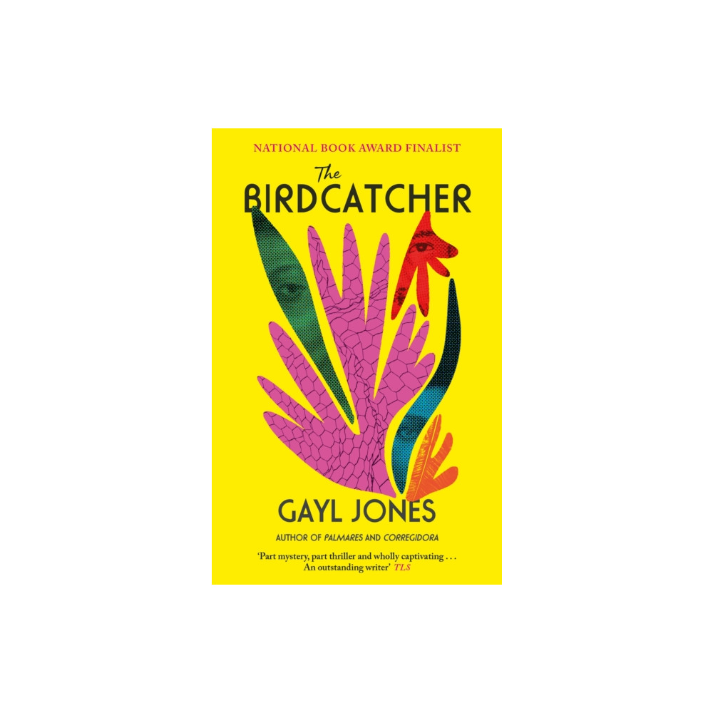 Produktbild för The Birdcatcher (häftad, eng)