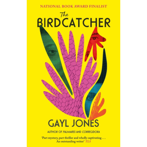 Little, Brown Book Group The Birdcatcher (häftad, eng)