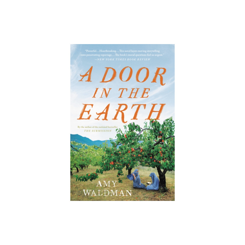 Produktbild för A Door in the Earth (häftad, eng)
