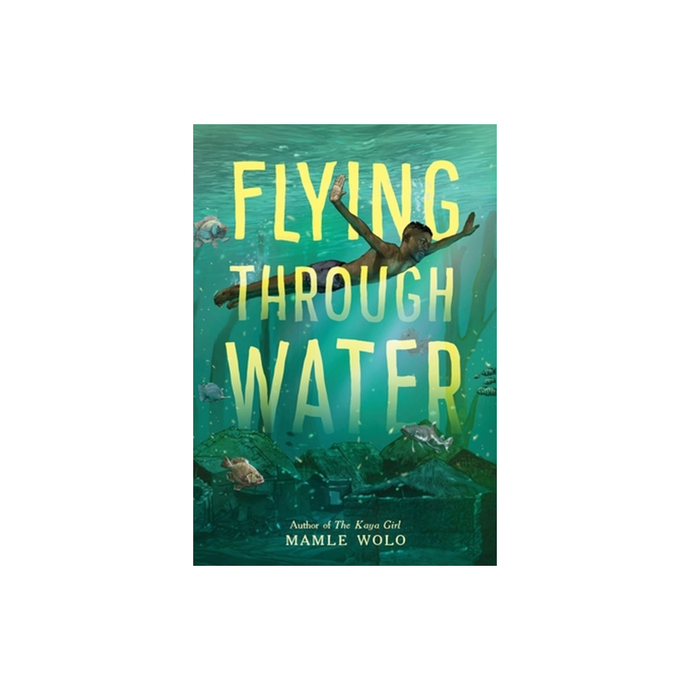 Produktbild för Flying Through Water (inbunden, eng)