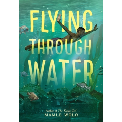 Little, Brown & Company Flying Through Water (inbunden, eng)