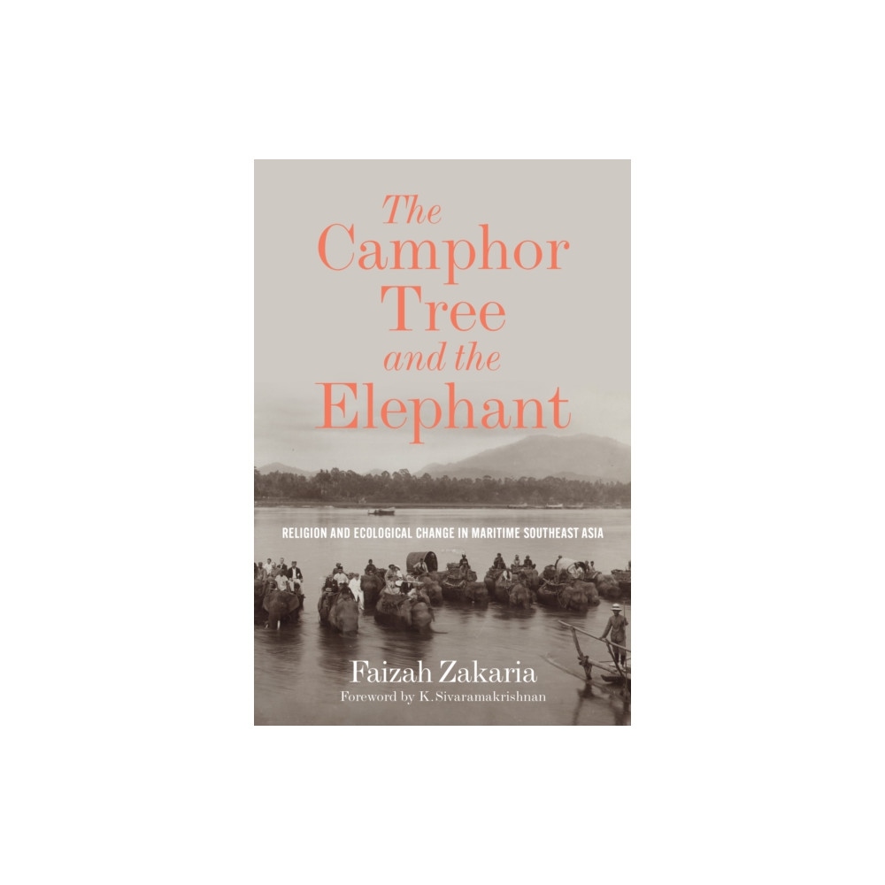 Produktbild för The Camphor Tree and the Elephant (inbunden, eng)