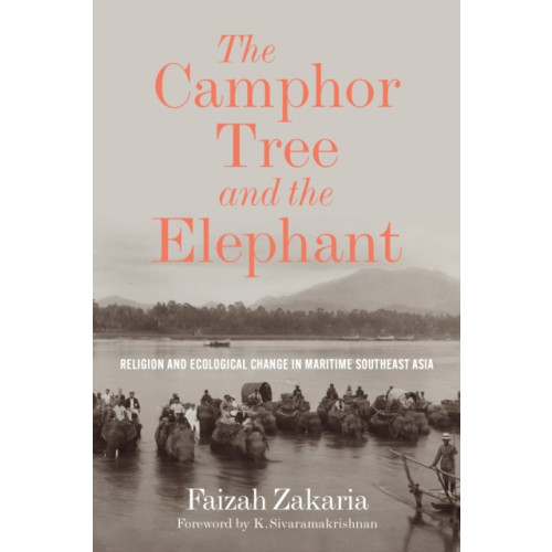 University of Washington Press The Camphor Tree and the Elephant (inbunden, eng)