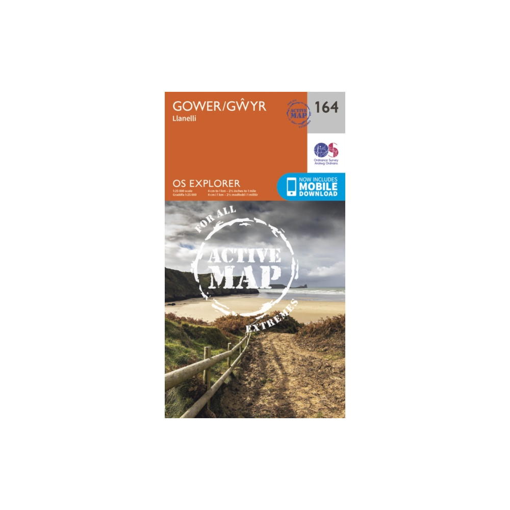Produktbild för Gower, Llanelli