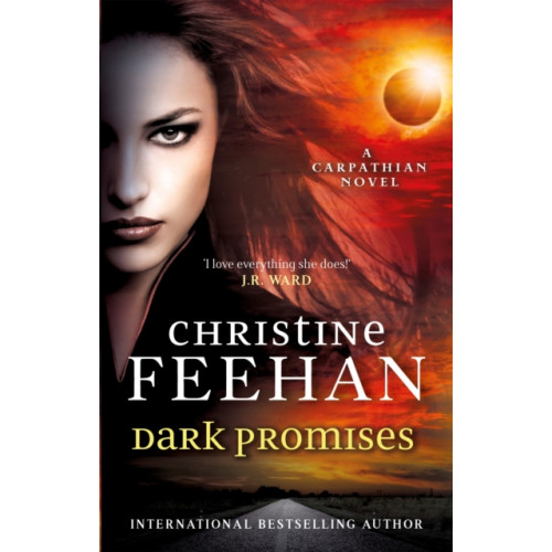Little, Brown Book Group Dark Promises (häftad, eng)