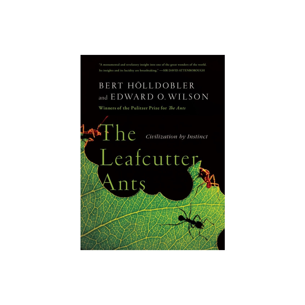 Produktbild för The Leafcutter Ants (häftad, eng)