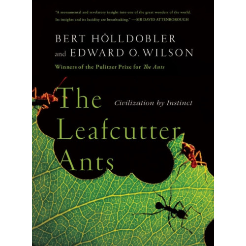 WW Norton & Co The Leafcutter Ants (häftad, eng)