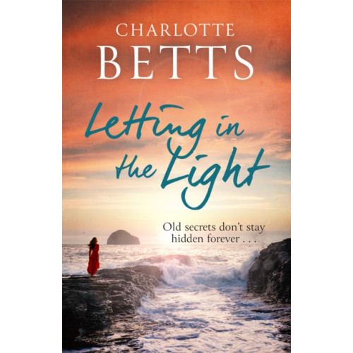 Little, Brown Book Group Letting in the Light (häftad, eng)