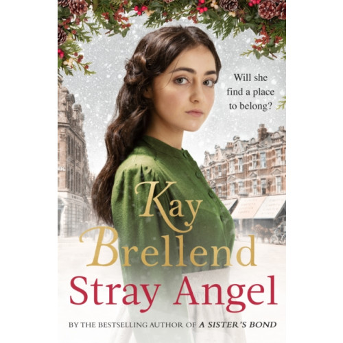 Little, Brown Book Group Stray Angel: an absolutely heart-rending Christmas saga (häftad, eng)