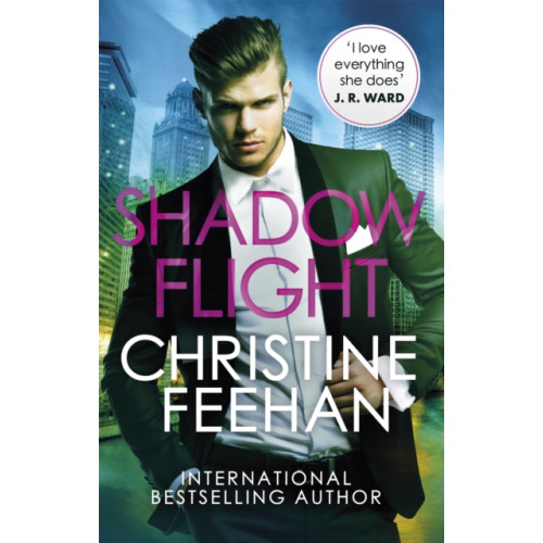 Little, Brown Book Group Shadow Flight (häftad, eng)