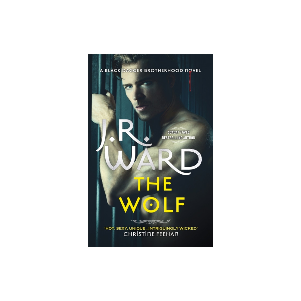 Produktbild för The Wolf (häftad, eng)