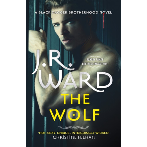 Little, Brown Book Group The Wolf (häftad, eng)