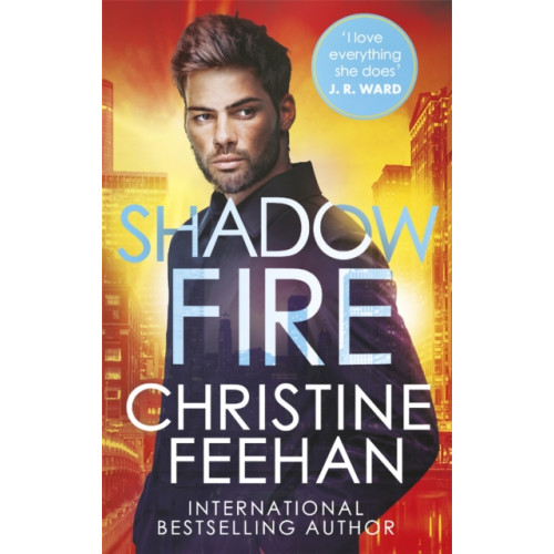 Little, Brown Book Group Shadow Fire (häftad, eng)