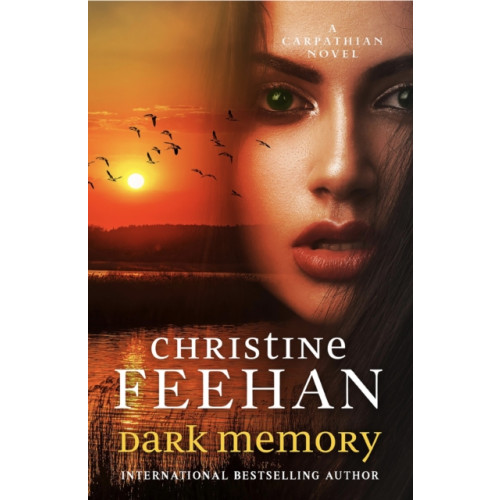 Little, Brown Book Group Dark Memory (inbunden, eng)