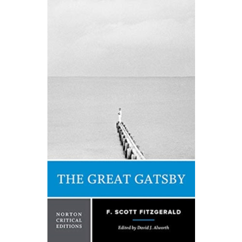WW Norton & Co The Great Gatsby (häftad, eng)