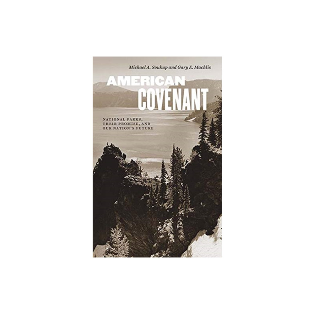 Produktbild för American Covenant (inbunden, eng)