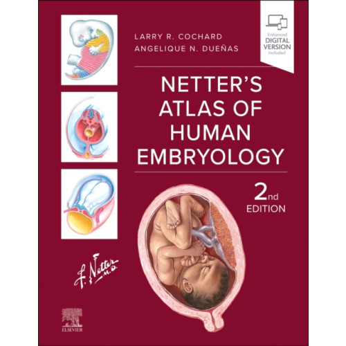 Elsevier Health Sciences Netter's Atlas of Human Embryology (häftad, eng)