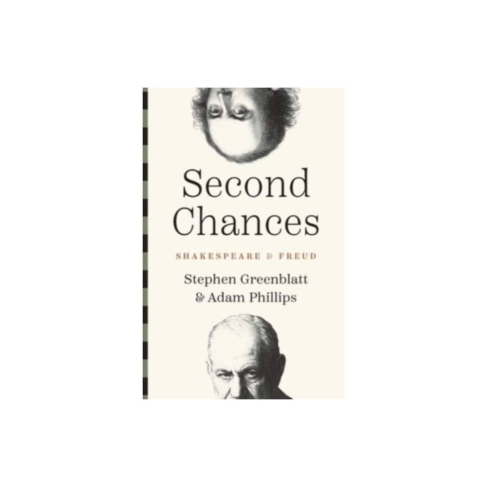 Produktbild för Second Chances (inbunden, eng)