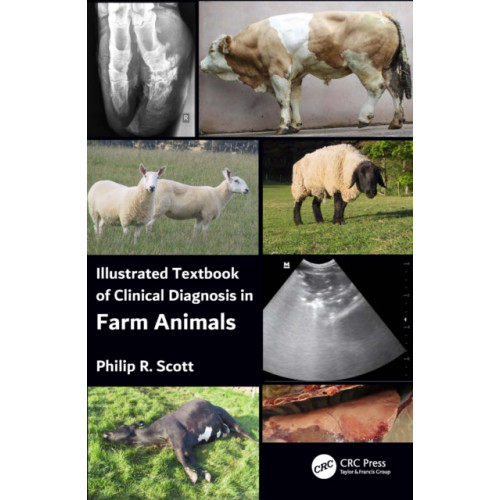 Taylor & francis ltd Illustrated Textbook of Clinical Diagnosis in Farm Animals (häftad, eng)