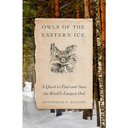 Farrar, Straus and Giroux Owls of the Eastern Ice (inbunden, eng)