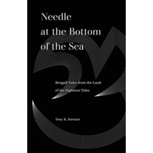 University of california press Needle at the Bottom of the Sea (häftad, eng)