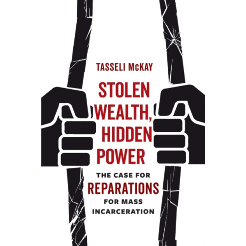 University of california press Stolen Wealth, Hidden Power (häftad, eng)