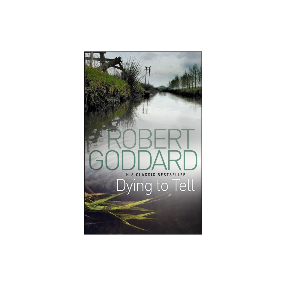 Produktbild för Dying To Tell (häftad, eng)