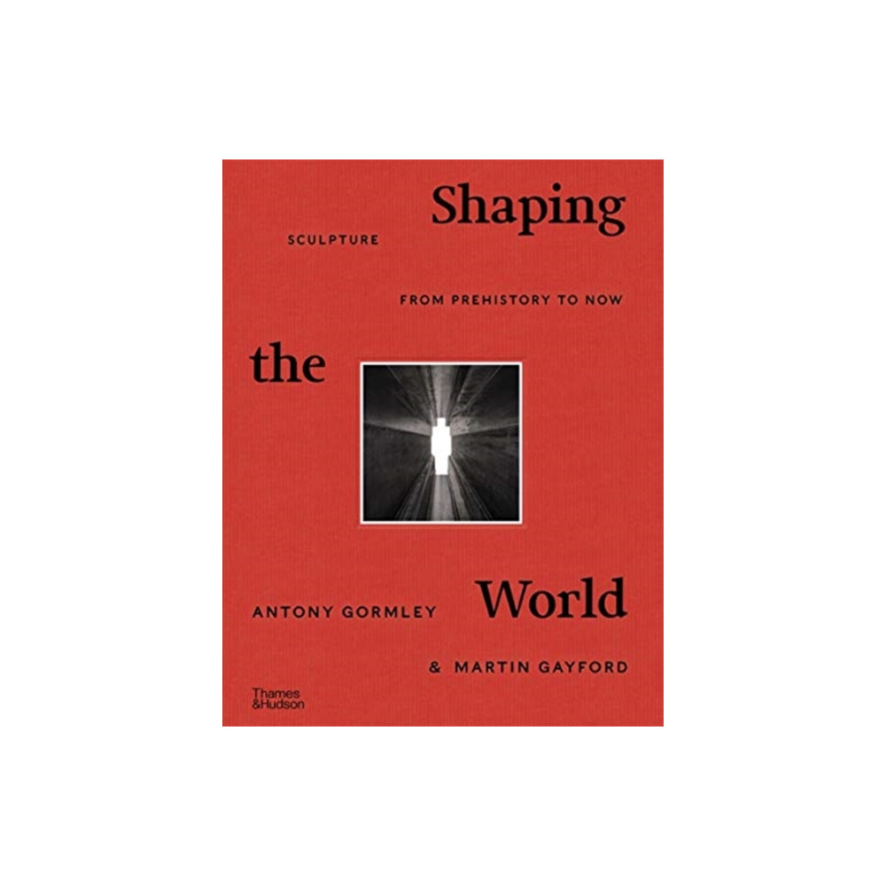 Produktbild för Shaping the World (inbunden, eng)