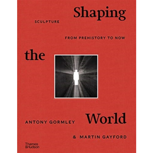 Thames & Hudson Ltd Shaping the World (inbunden, eng)