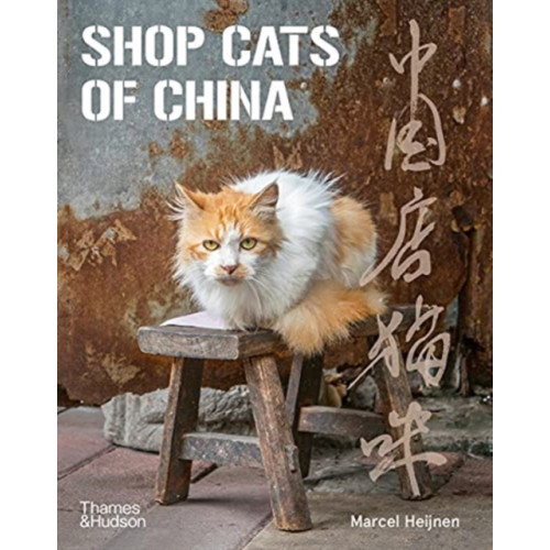 Thames & Hudson Ltd Shop Cats of China (häftad, eng)