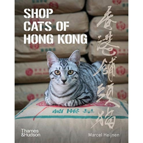 Thames & Hudson Ltd Shop Cats of Hong Kong (häftad, eng)