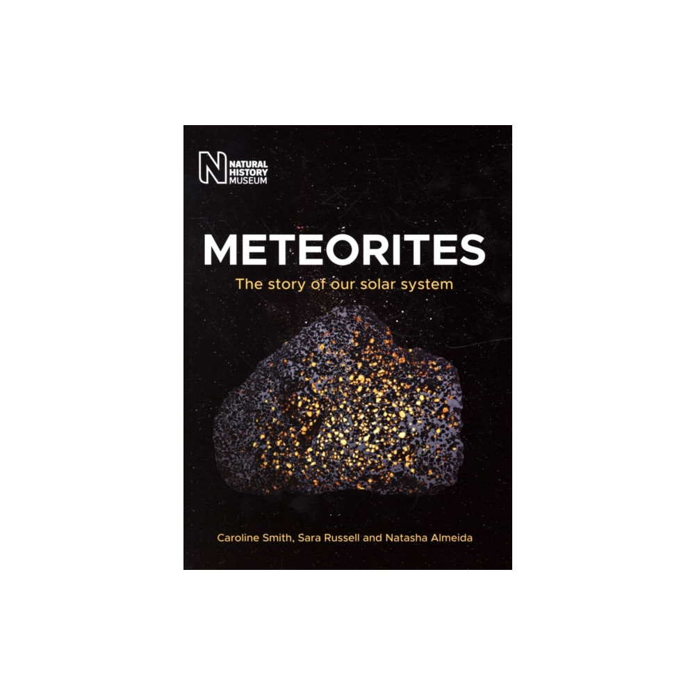 Produktbild för Meteorites (häftad, eng)