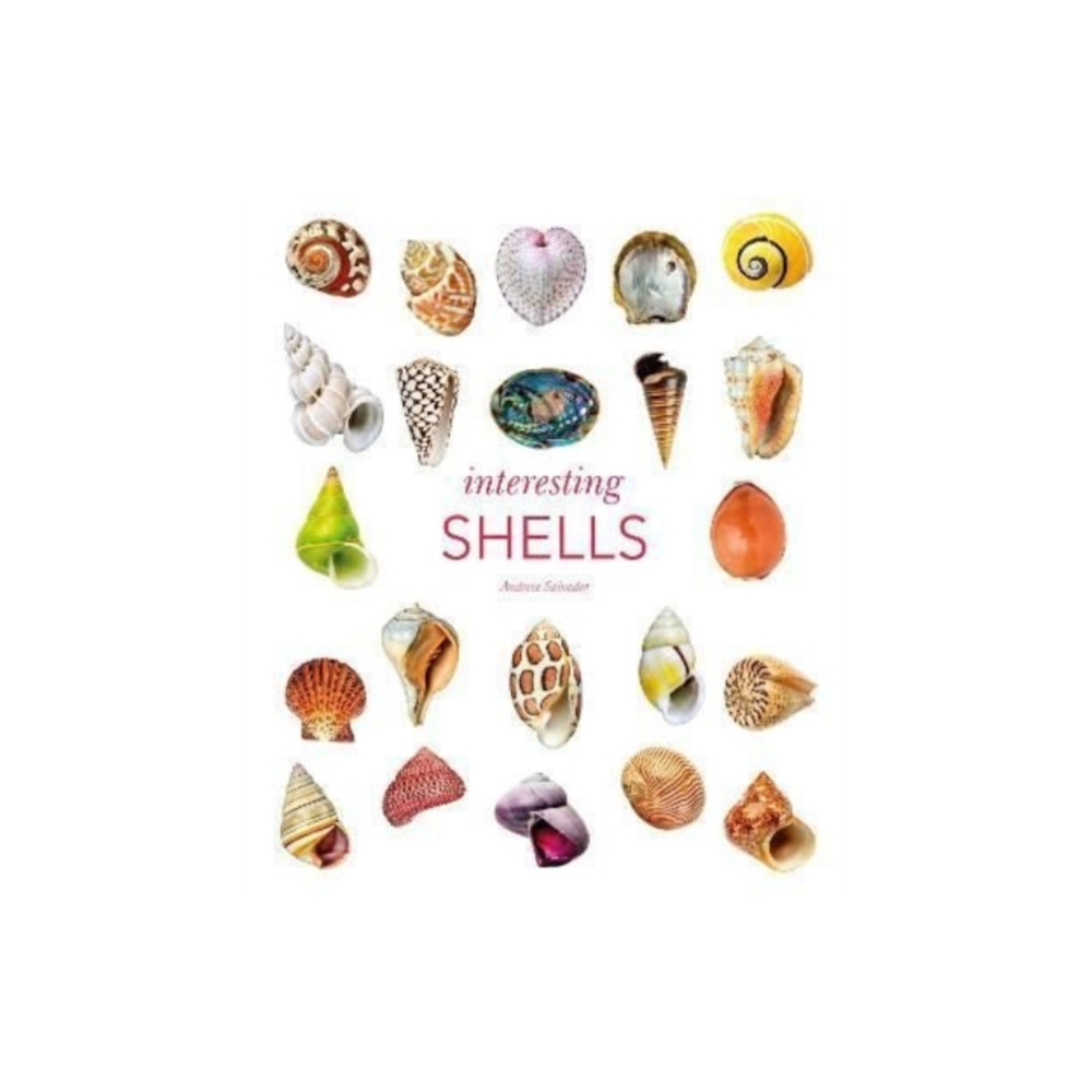 Produktbild för Interesting Shells (inbunden, eng)