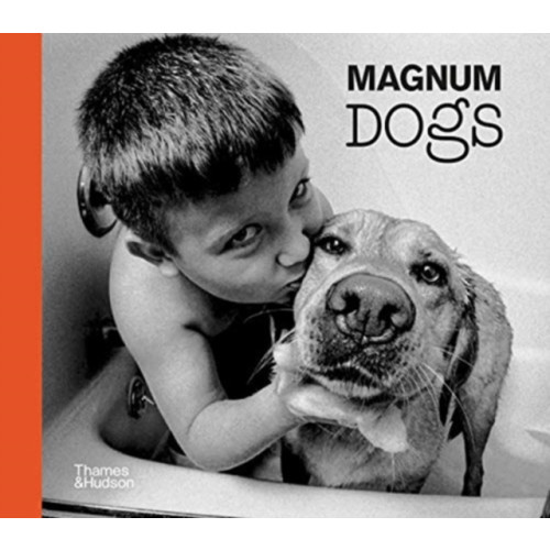 Thames & Hudson Ltd Magnum Dogs (inbunden, eng)