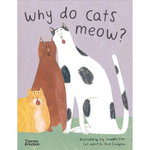 Thames & Hudson Ltd Why do cats meow? (inbunden, eng)